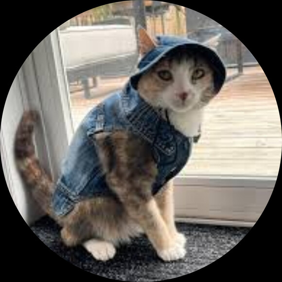 kitcat_ca